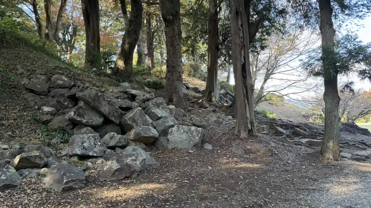 Park path and walling between the second and south enclosures
