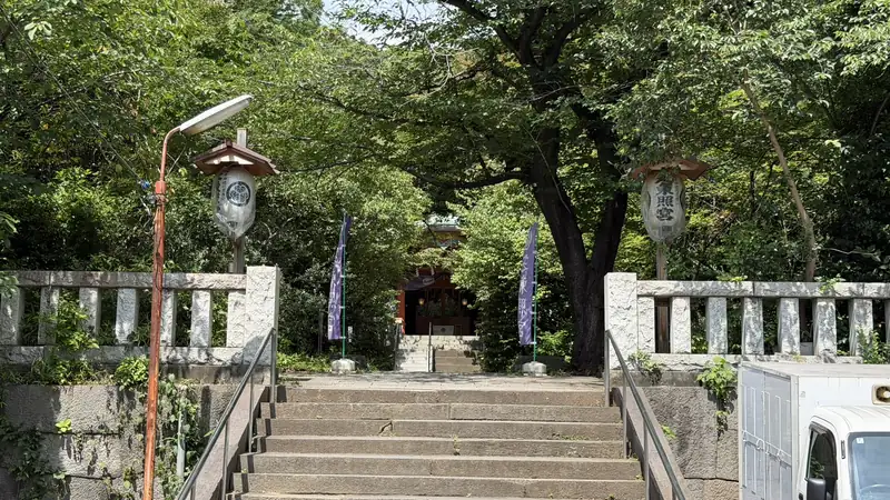 Stone steps on the wooded approach to Shiba Toshogu