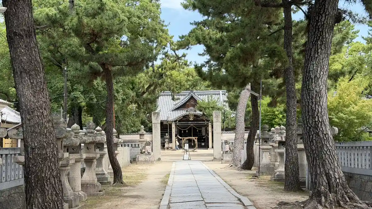 Stone lanterns and pine trees lining the approach to Inano Shrine