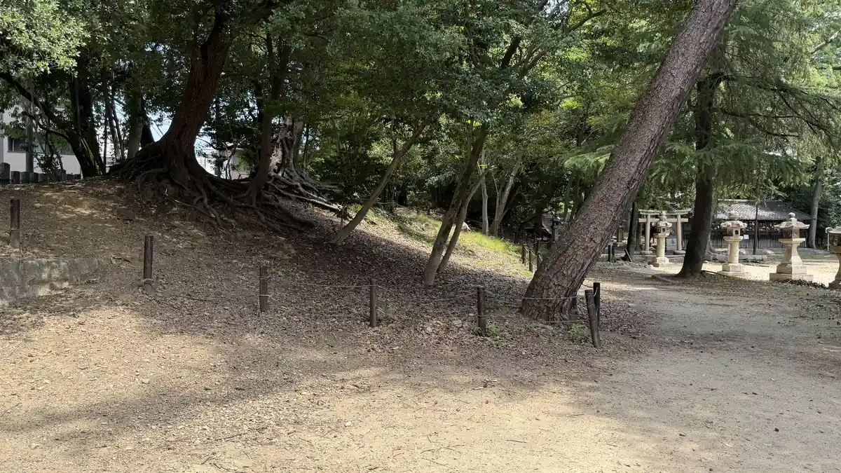 Wooded earthen rampart of the Kishi Fort site in the northwest of Inano Shrine