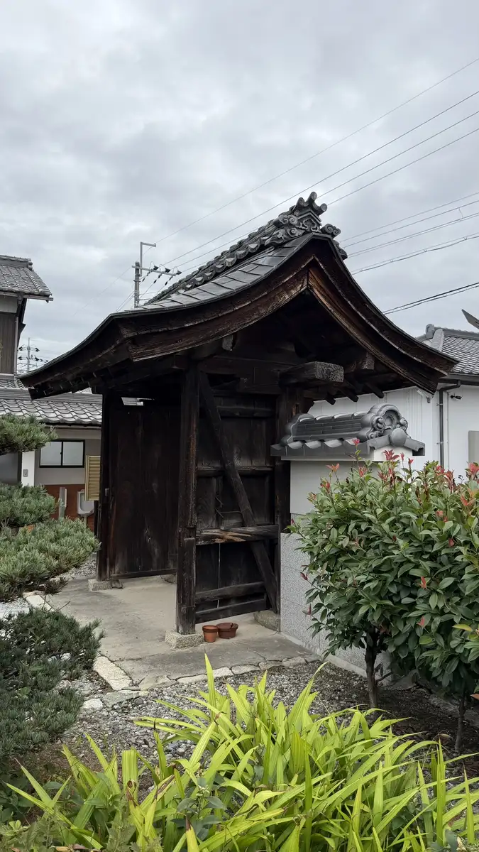 植栽の向こうに立つ光澤寺の山門