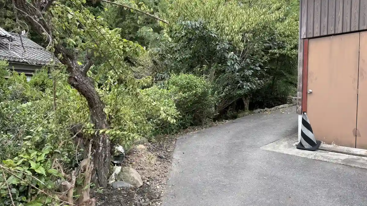 出雲神社へ向かう参道。建物脇の舗装路が木立に沿って曲がりながら奥の山林へ続いています。