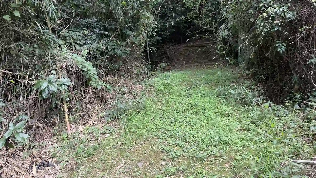舗装路を離れた先の草地から、木々に囲まれた山道の小道へ入っていきます。