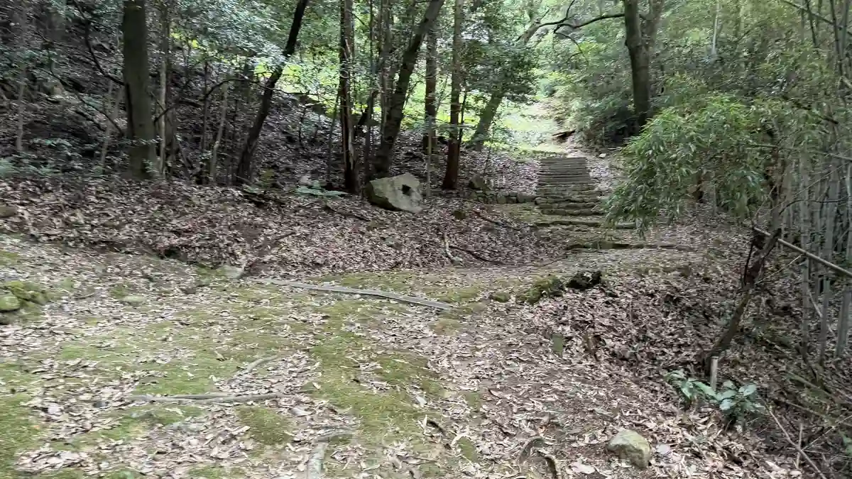 山道を上ると現れる石段の手前。落ち葉に覆われた地面の先に、明るい斜面と石段が見えます。