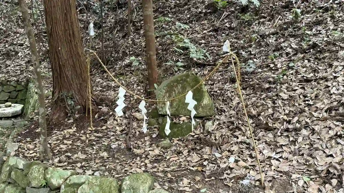 境内周辺の林の地面に残る、苔の付いた小石。由来は確認できませんでした。