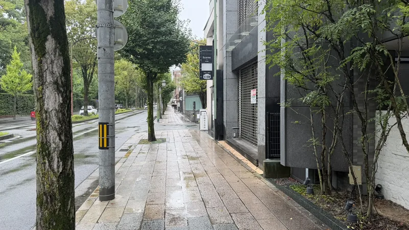 雨に濡れた北山通の歩道と古田織部美術館の案内看板