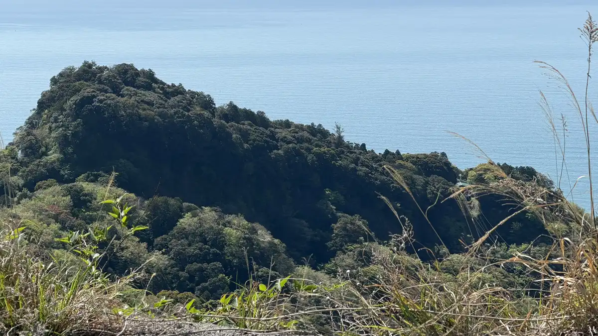 The wooded hill of Kunozan with Suruga Bay behind it, seen from the Nihondaira viewpoint