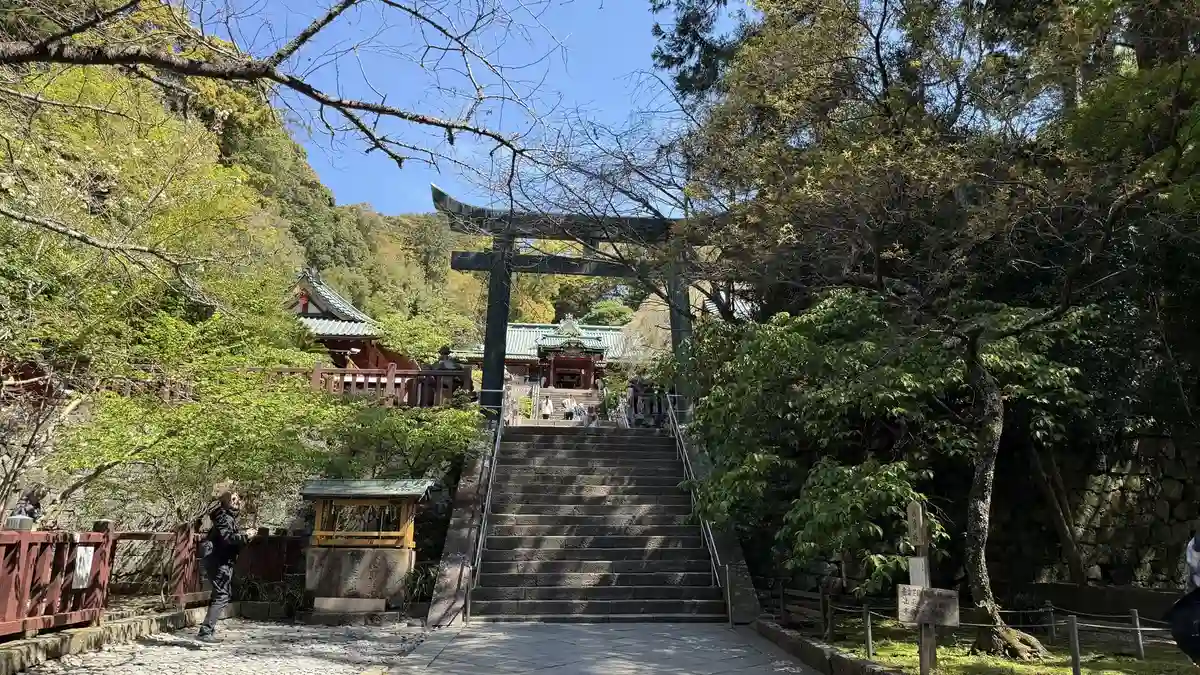 The vermilion shrine buildings seen beyond a torii gate and a flight of steps
