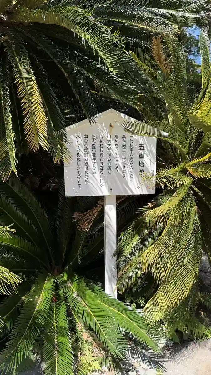 Cycad fronds and a white information board in the precinct of Kunozan Toshogu