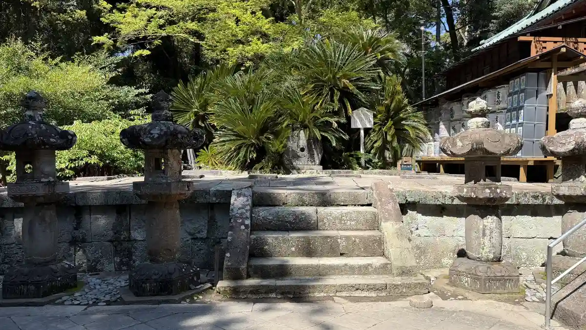 Stone steps climbing between stone lanterns and cycads in the precinct of Kunozan Toshogu