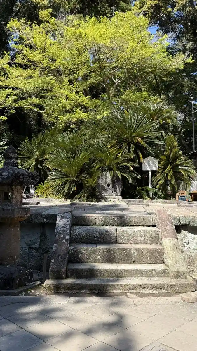 Stone steps flanked by cycads and stone lanterns in the precinct of Kunozan Toshogu