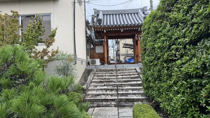 松林寺の山門を境内側から撮影した写真。石段の先に通りが見える