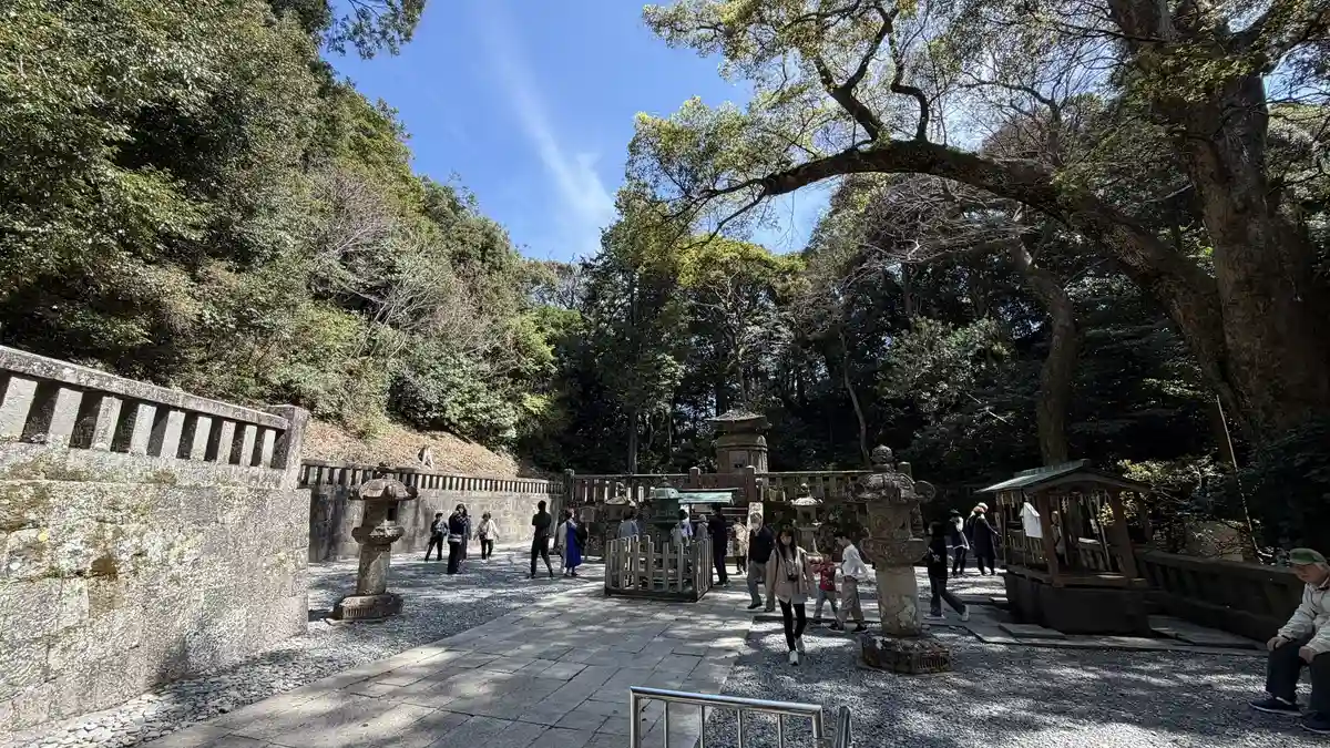 The open ground facing the stone pagoda, with stone lanterns and a wide-branched tree
