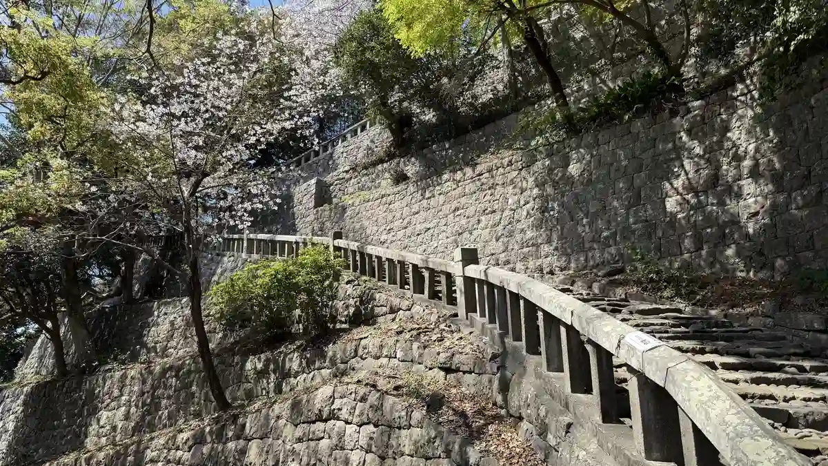 Cherry blossom over the stone stairway at Kunozan, with long stone walling alongside
