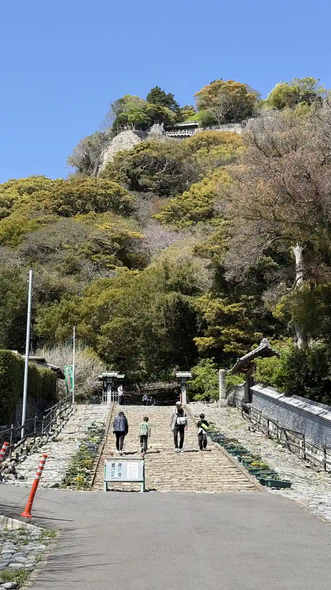 Looking up the slope of Kunozan at the stone stairway, with visitors climbing it