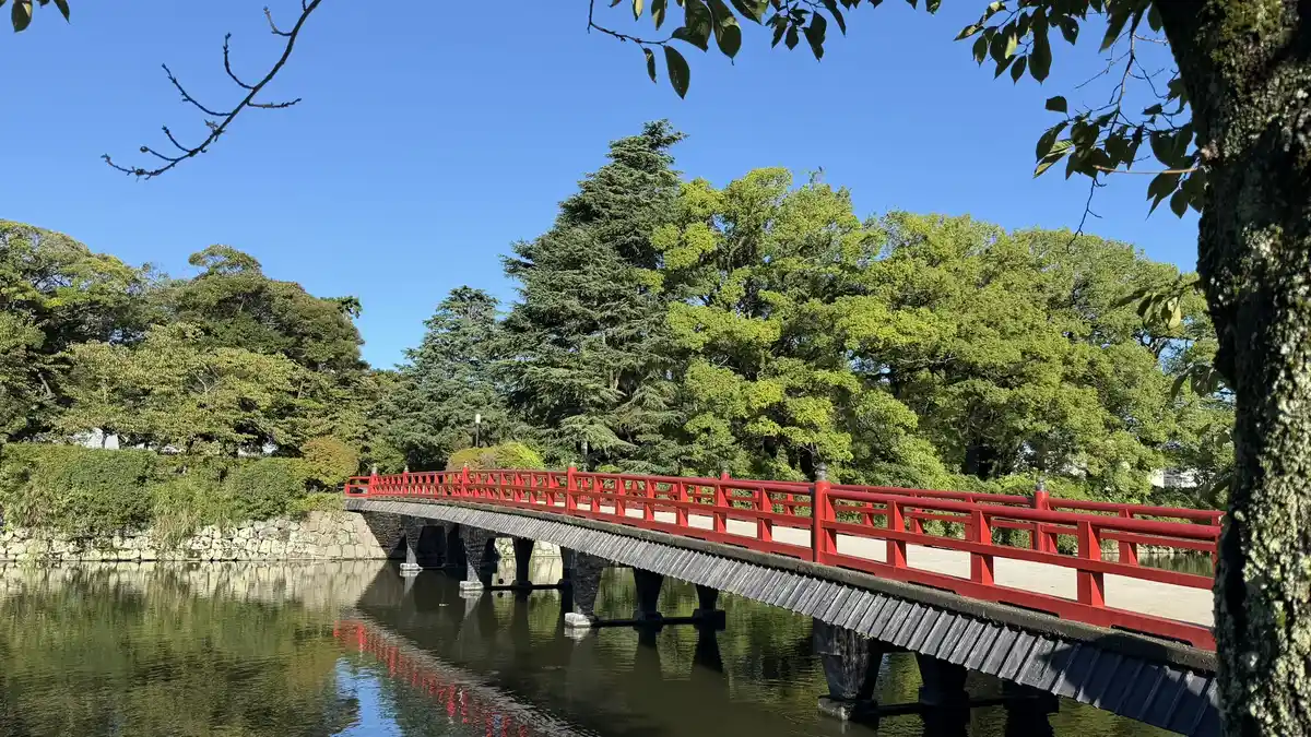 Manabi-bashi seen through tree branches, its stone piers reflected in the moat