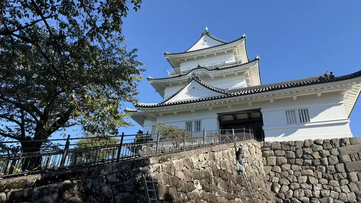 Looking up at the keep's roofs from the stone steps at its entrance