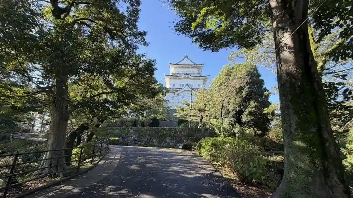 Odawara Castle keep framed by trees, seen from the north-entrance park path