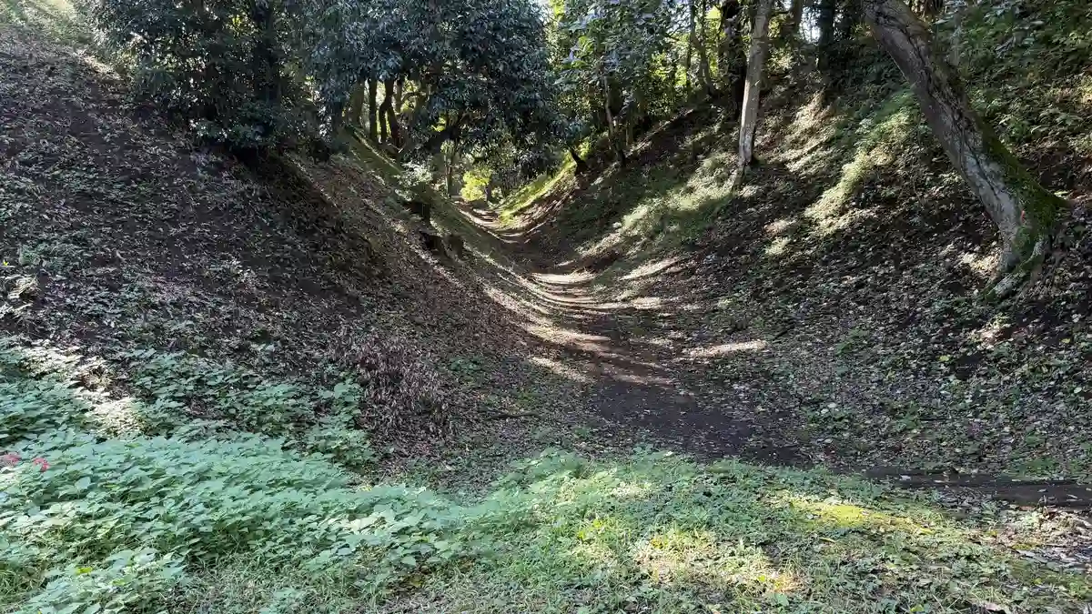 Entrance leading down into the east moat of the great trench