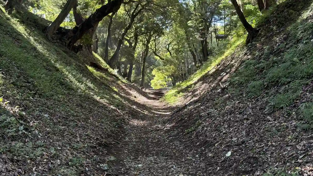 Floor of the east moat with steep wooded slopes rising on both sides