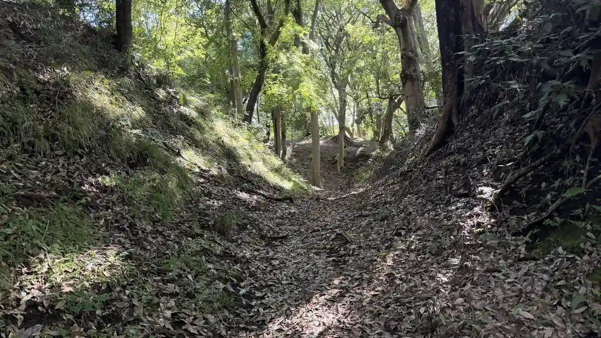 Moat floor continuing through woodland midway along the east moat