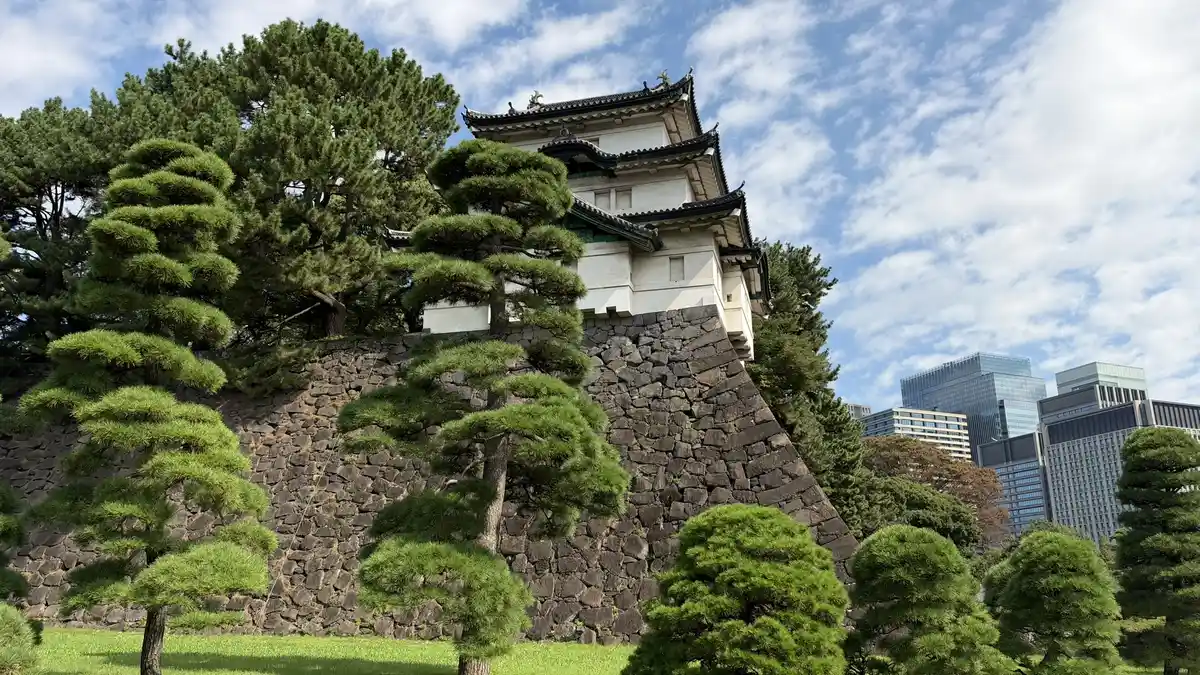 松の向こうの富士見櫓