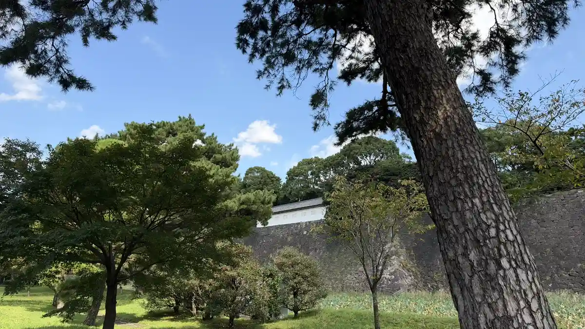 松越しに見える富士見多聞