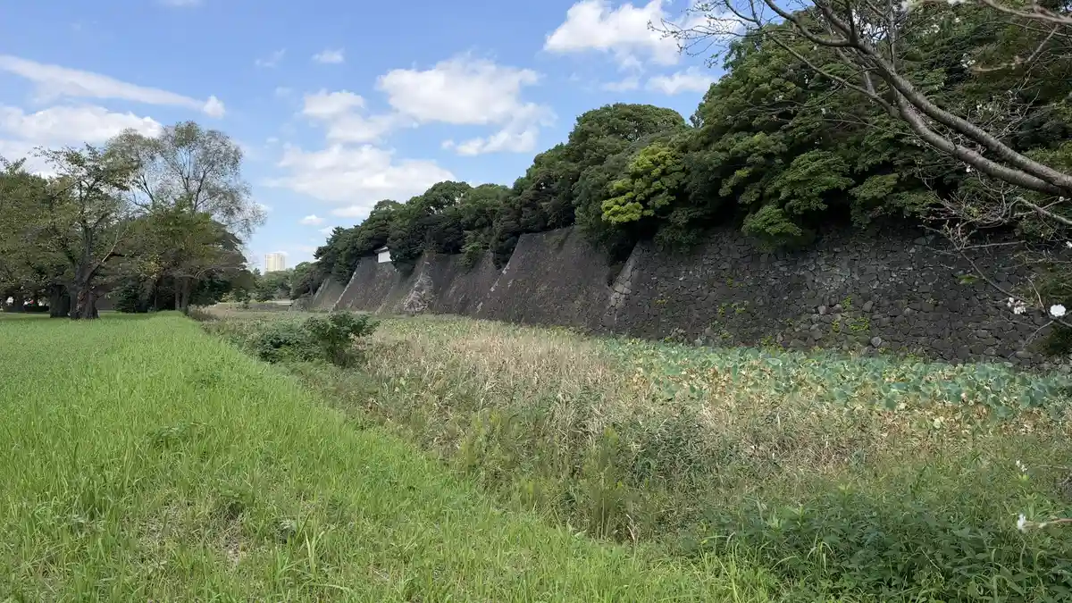 草と蓮の葉が広がる蓮池濠