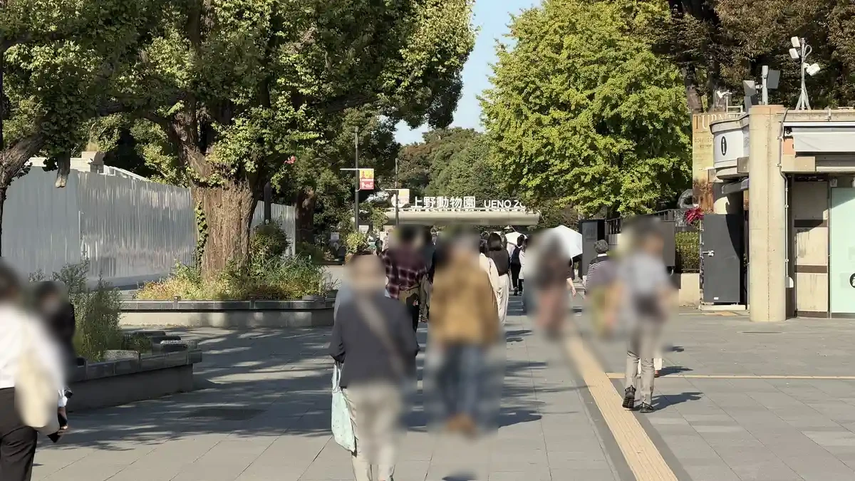 Visitors on a tree-lined path in Ueno Park, with the Ueno Zoo entrance visible in the distance