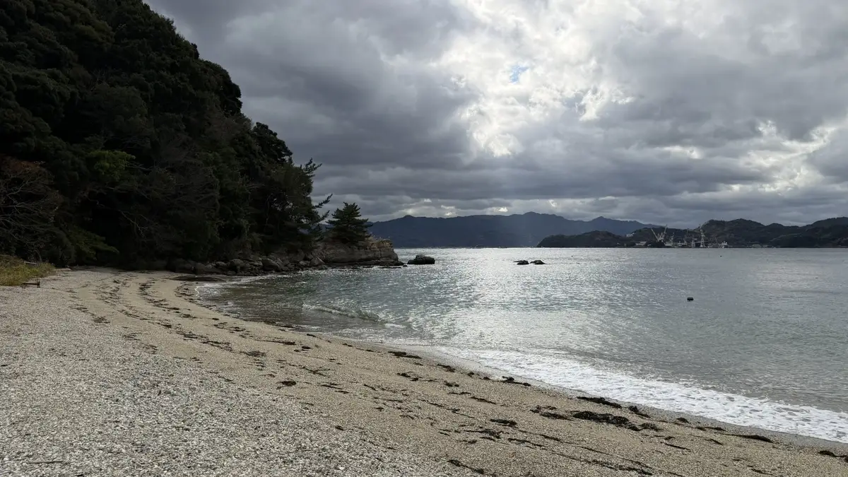 Beach leading to a wooded rocky point