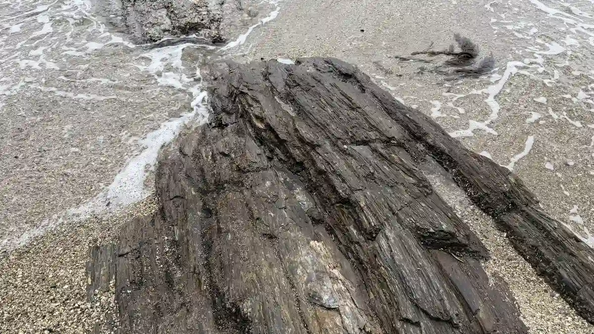 Exposed bedrock on the beach