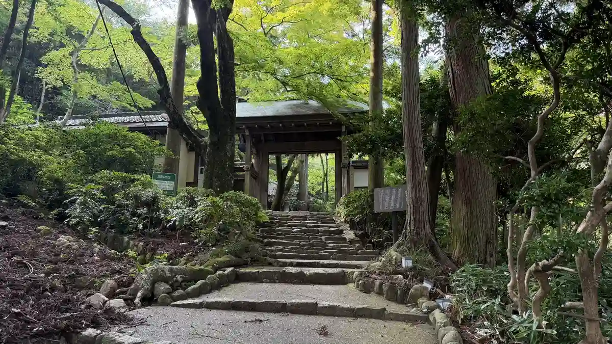 The gate of Zuiho-ji Park: the old Zuiho-ji gate beyond trees and steps.