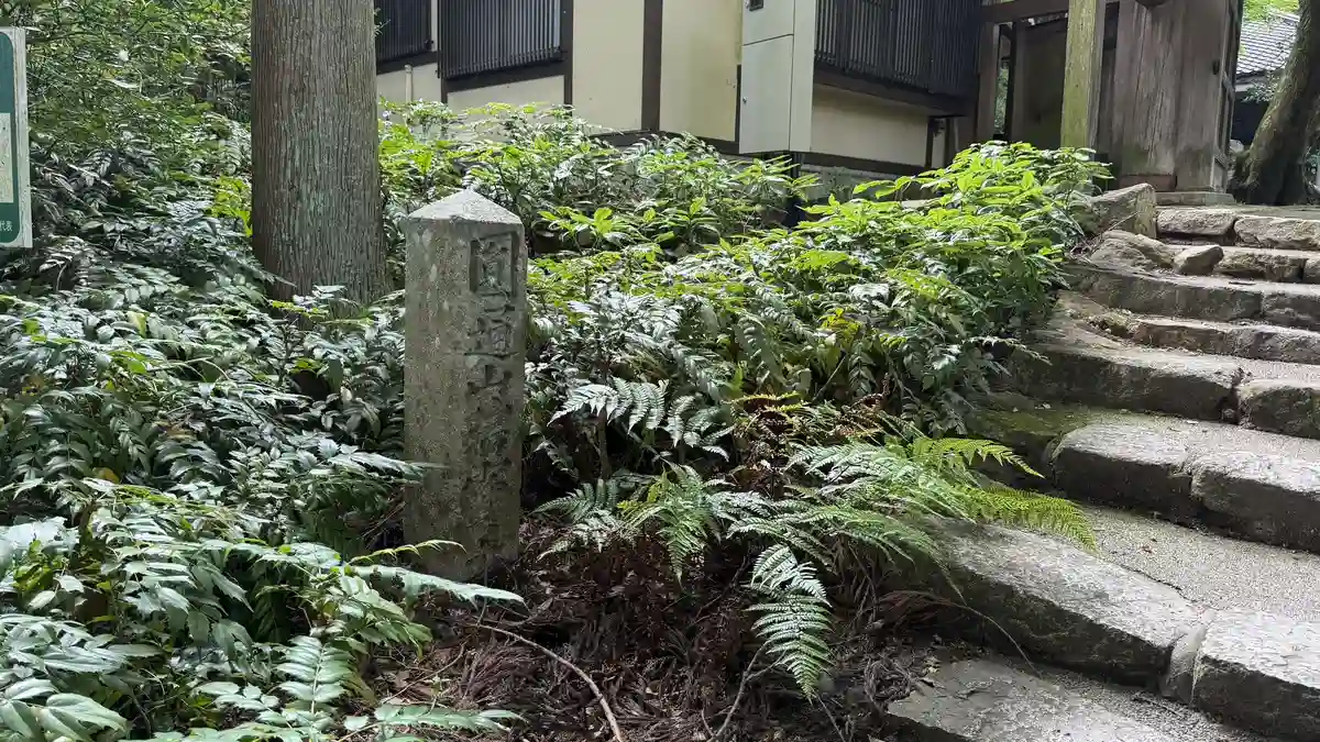 Steps beside the gate, and a mossy stone pillar.