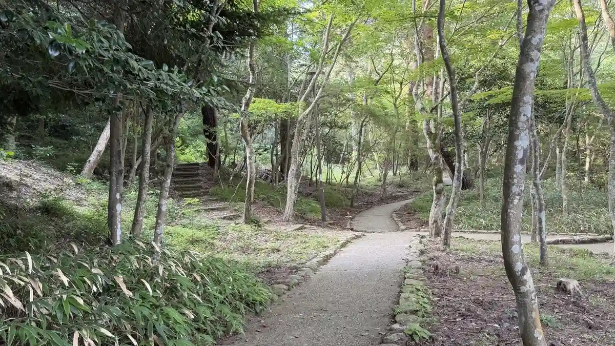 A winding path through mixed woodland in the park.