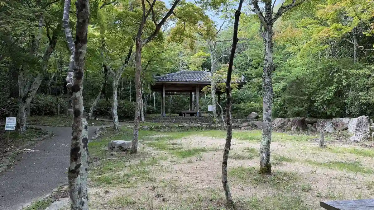 A small shelter in a clearing surrounded by trees.